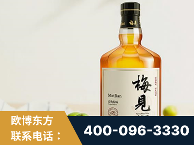 锡林郭勒-梅见青梅酒